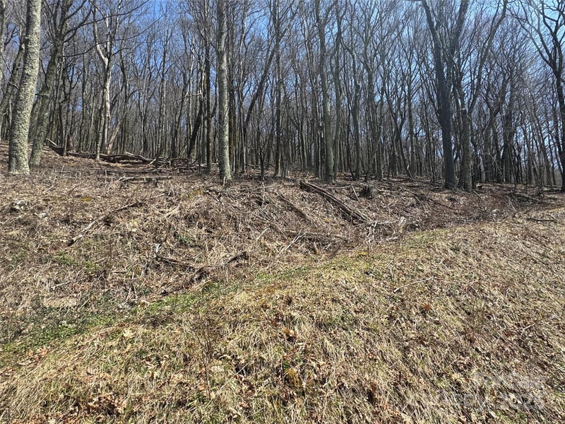 244 - 245 Grouse Thicket Ln, Mars Hill, NC 28754