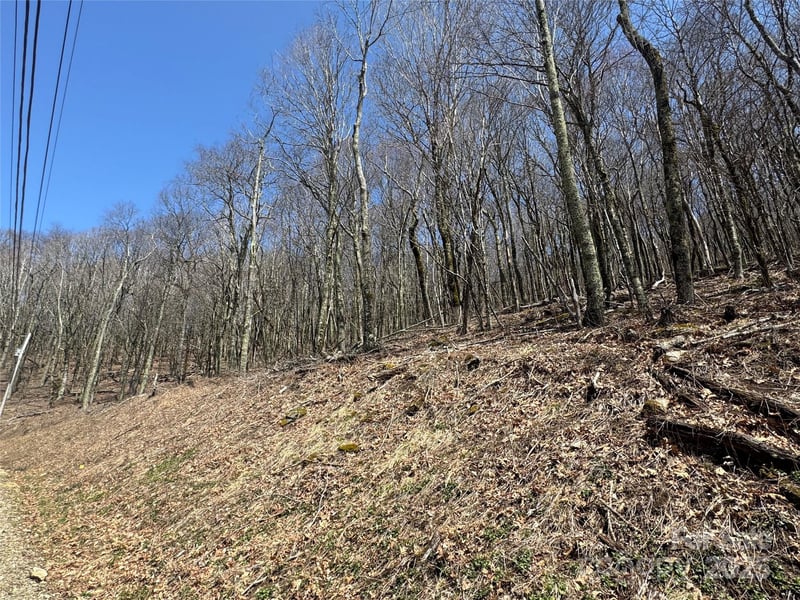 244 - 245 Grouse Thicket Ln, Mars Hill, NC 28754