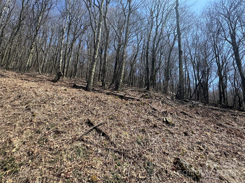 244 - 245 Grouse Thicket Ln, Mars Hill, NC 28754