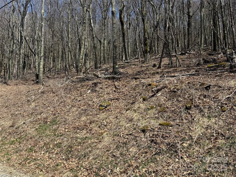 244 - 245 Grouse Thicket Ln, Mars Hill, NC 28754