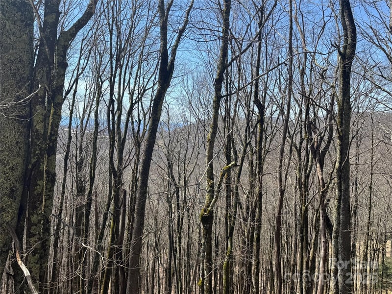 261 Grouse Thicket Ln, Mars Hill, NC 28754