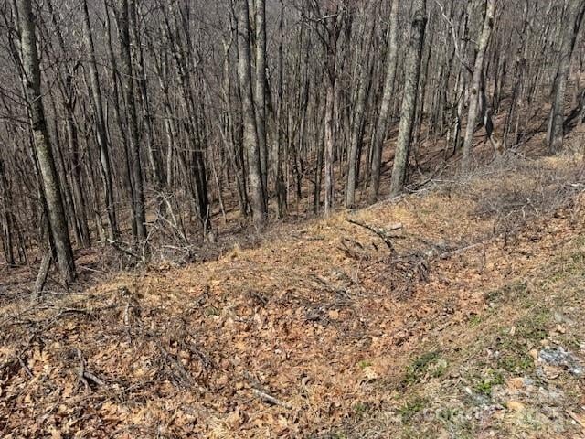 261 Grouse Thicket Ln, Mars Hill, NC 28754