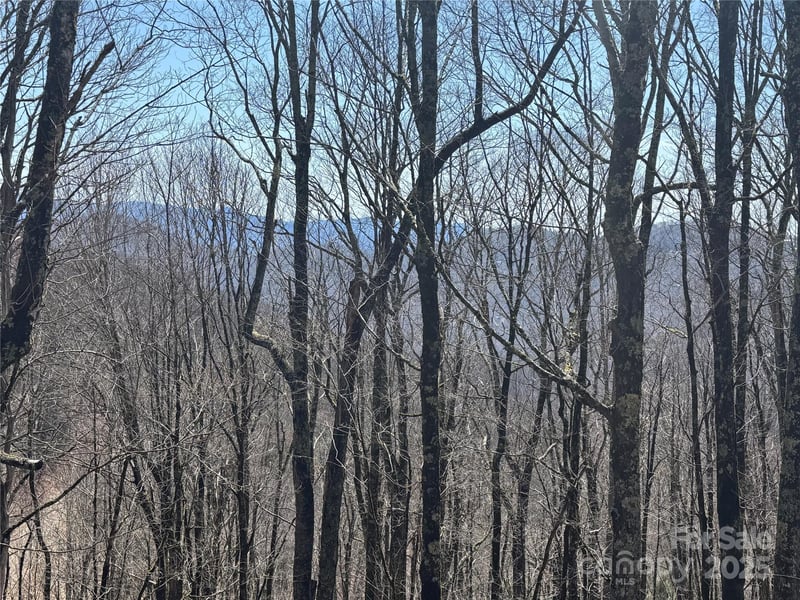 261 Grouse Thicket Ln, Mars Hill, NC 28754