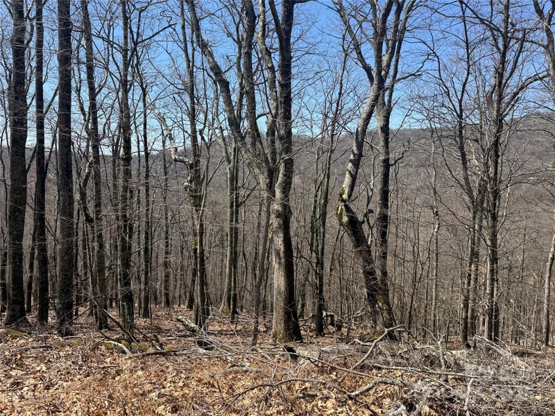334-335-336 Hamlin Ln, Mars Hill, NC 28754