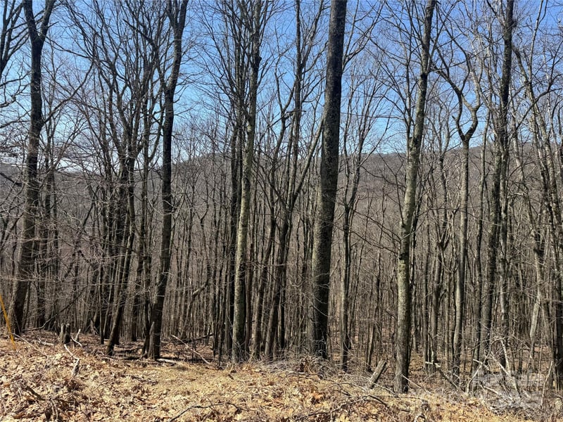 334-335-336 Hamlin Ln, Mars Hill, NC 28754