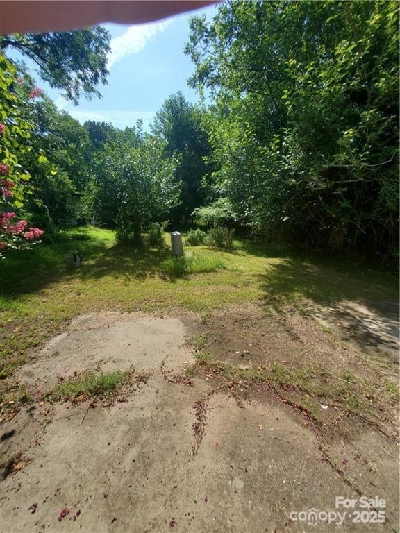 411 Mint St, Rock Hill, SC 29730
