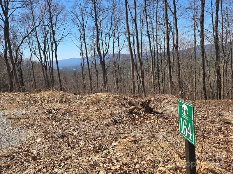 164 Wilderness Creek Way #164, Murphy, NC 28906
