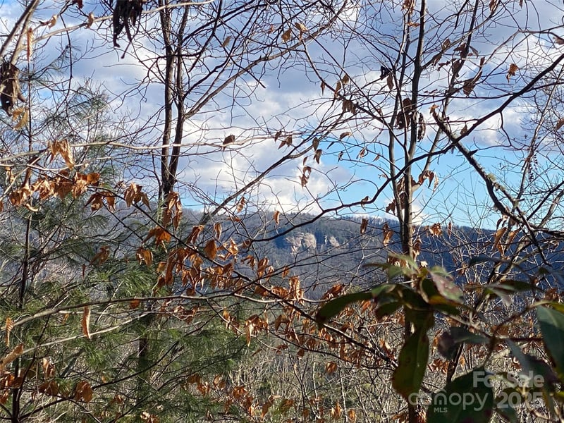 999 High Point Trl #32, Brevard, NC 28712