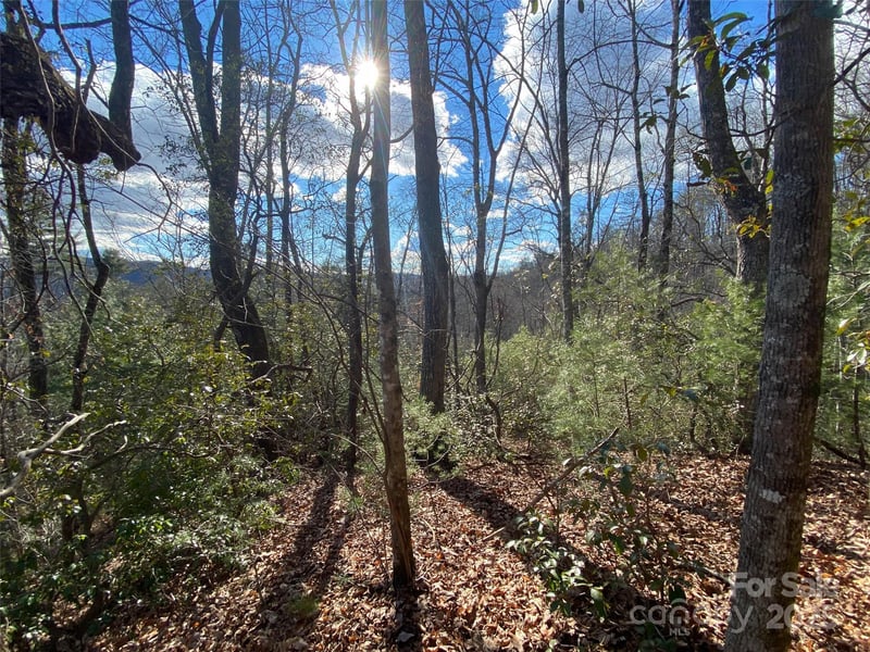 999 High Point Trl #32, Brevard, NC 28712