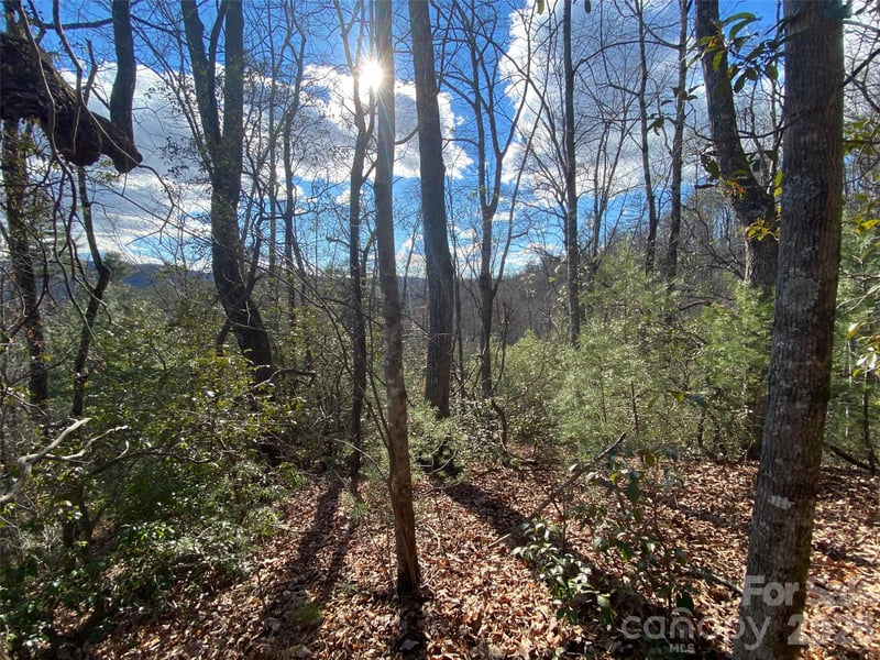 999 High Point Trl #32, Brevard, NC 28712