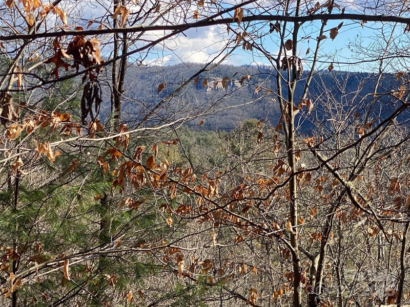 999 High Point Trl, Brevard, NC 28712