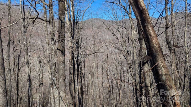 00 Shady Rest Dr #37, Waynesville, NC 28785