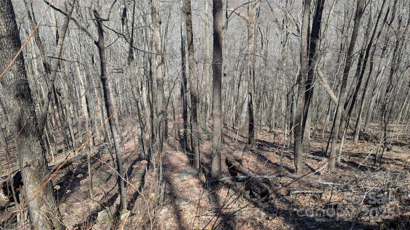 00 Shady Rest Dr #37, Waynesville, NC 28785