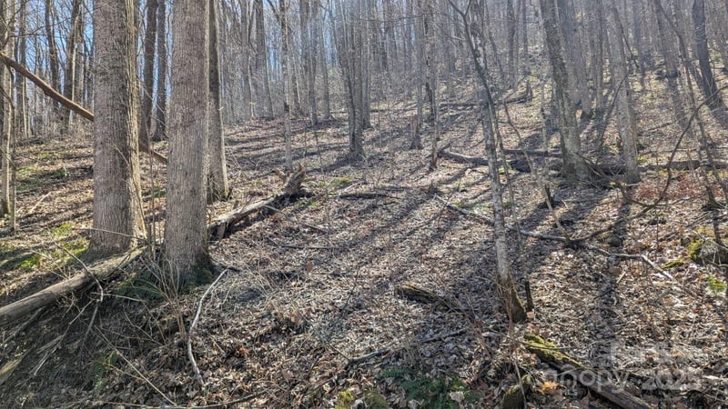 00 Shady Rest Dr #37, Waynesville, NC 28785