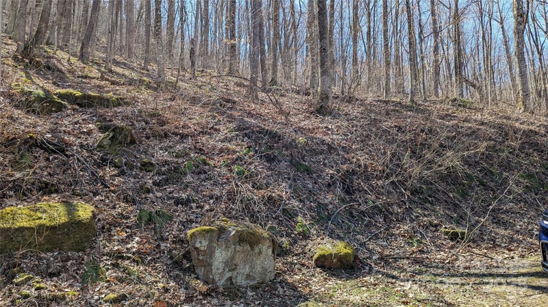00 Shady Rest Dr #37, Waynesville, NC 28785