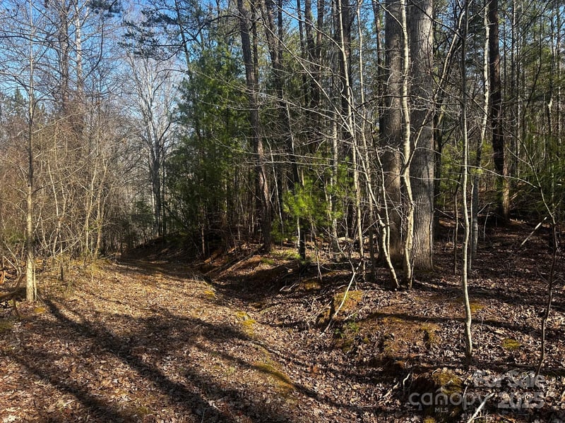 0000 Grassy Knob Rd, Lake Lure, NC 28746