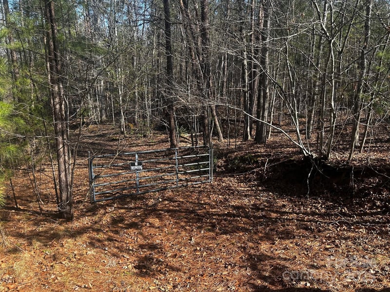 0000 Grassy Knob Rd, Lake Lure, NC 28746