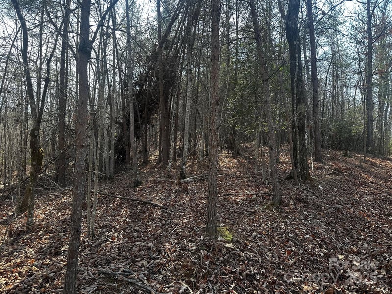 0000 Grassy Knob Rd, Lake Lure, NC 28746