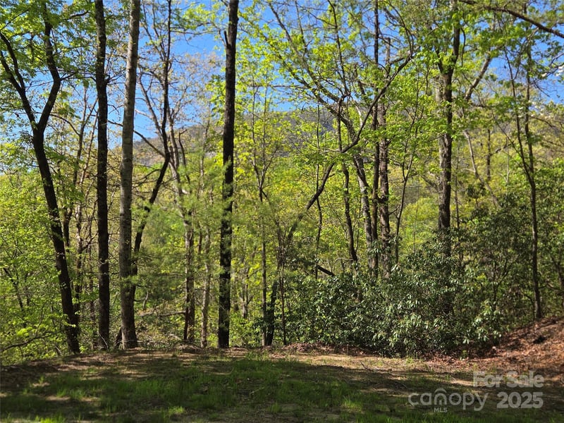 Lot 64 - 65 Walnut Ln, Lake Lure, NC 28746