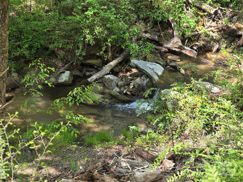 Lot 64 - 65 Walnut Ln, Lake Lure, NC 28746