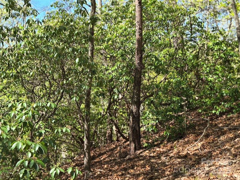 Lot 64 - 65 Walnut Ln, Lake Lure, NC 28746
