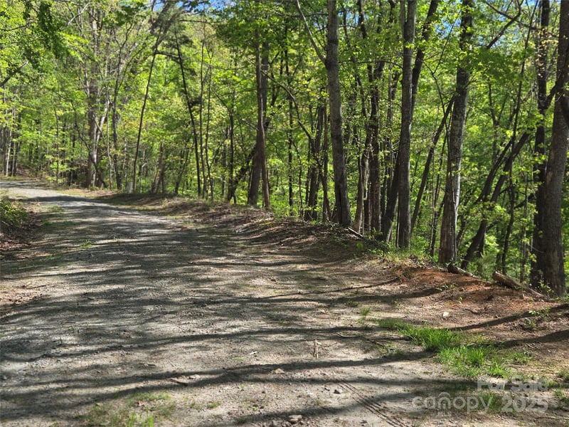 Lot 64 - 65 Walnut Ln, Lake Lure, NC 28746