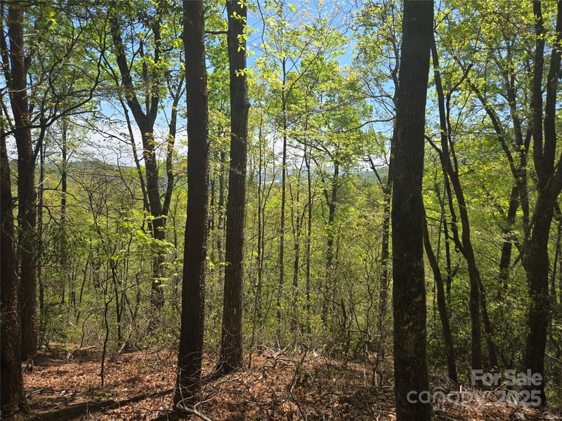 Lot 114 Summit Ct, Lake Lure, NC 28746