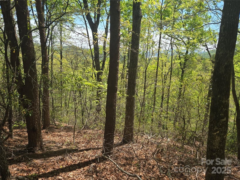 Lot 114 Summit Ct, Lake Lure, NC 28746