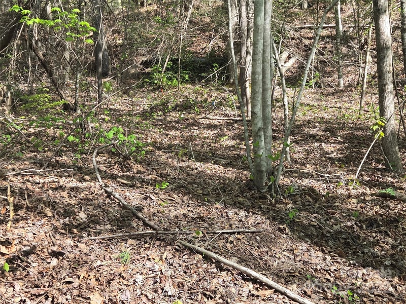 Lot 172 West Lake Dr, Lake Lure, NC 28746