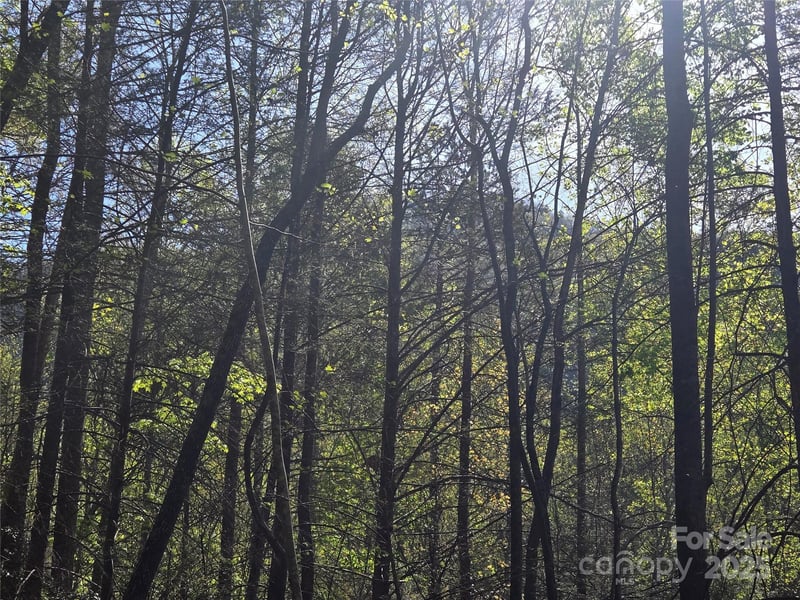Lot 172 West Lake Dr, Lake Lure, NC 28746