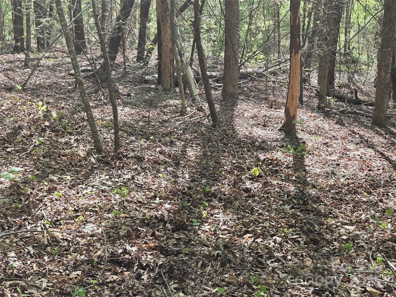 Lot 172 West Lake Dr, Lake Lure, NC 28746