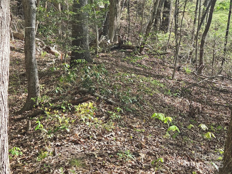 Lot 172 West Lake Dr, Lake Lure, NC 28746