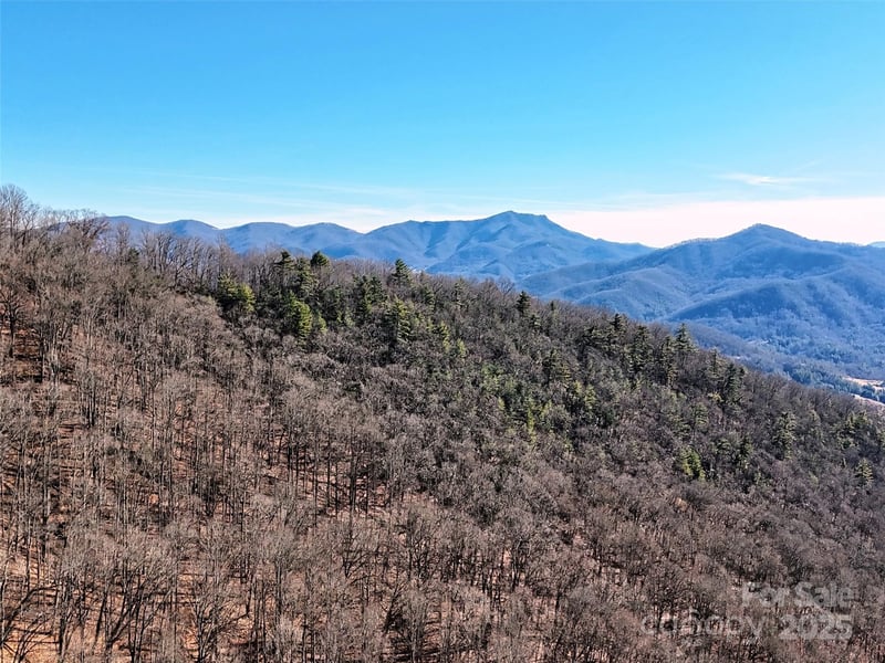 00 Barn Cove Rd #61 & 62, Clyde, NC 28721