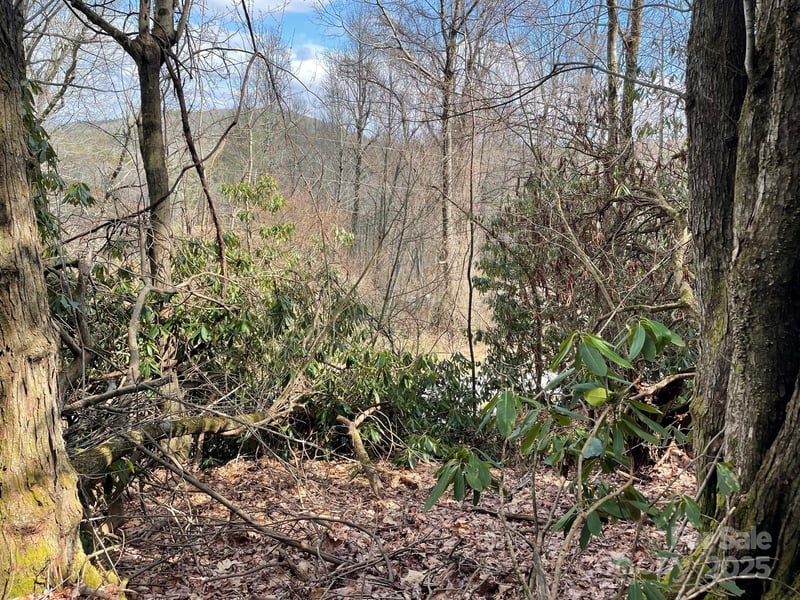 Gingercake Rd, Newland, NC 28657
