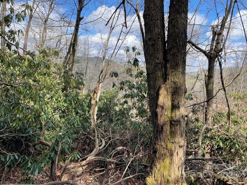 Gingercake Rd, Newland, NC 28657