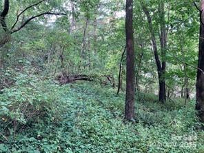 99999 Moffitt Branch Rd, Asheville, NC 28805