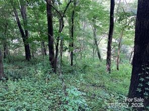 99999 Moffitt Branch Rd, Asheville, NC 28805