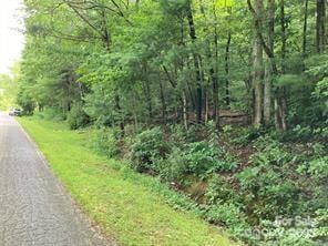 99999 Moffitt Branch Rd, Asheville, NC 28805