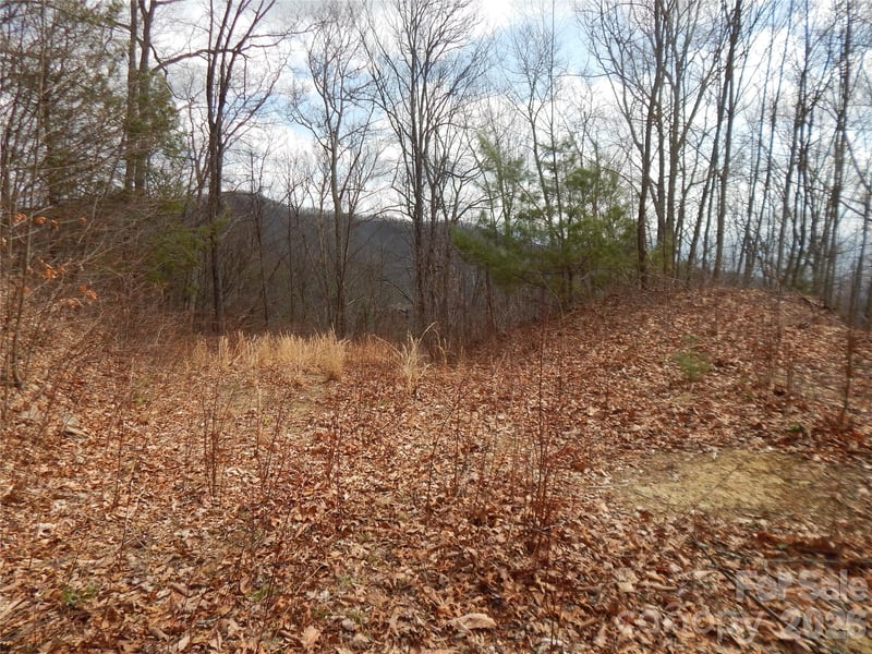 5 Sigogglin Trl, Waynesville, NC 28785