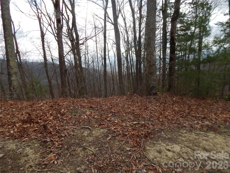 5 Sigogglin Trl, Waynesville, NC 28785