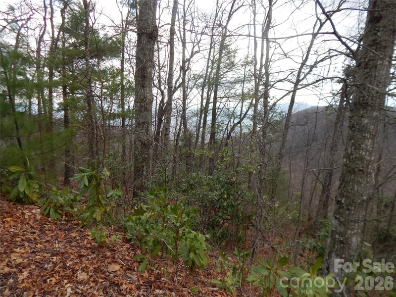 5 Sigogglin Trl, Waynesville, NC 28785