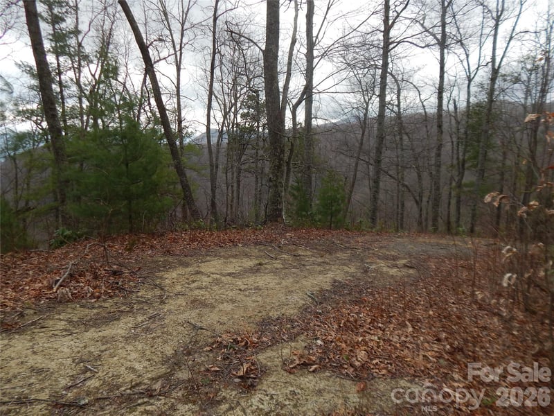 5 Sigogglin Trl, Waynesville, NC 28785