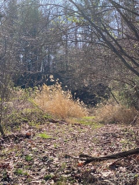 105 Mills Gap Rd, Asheville, NC 28803