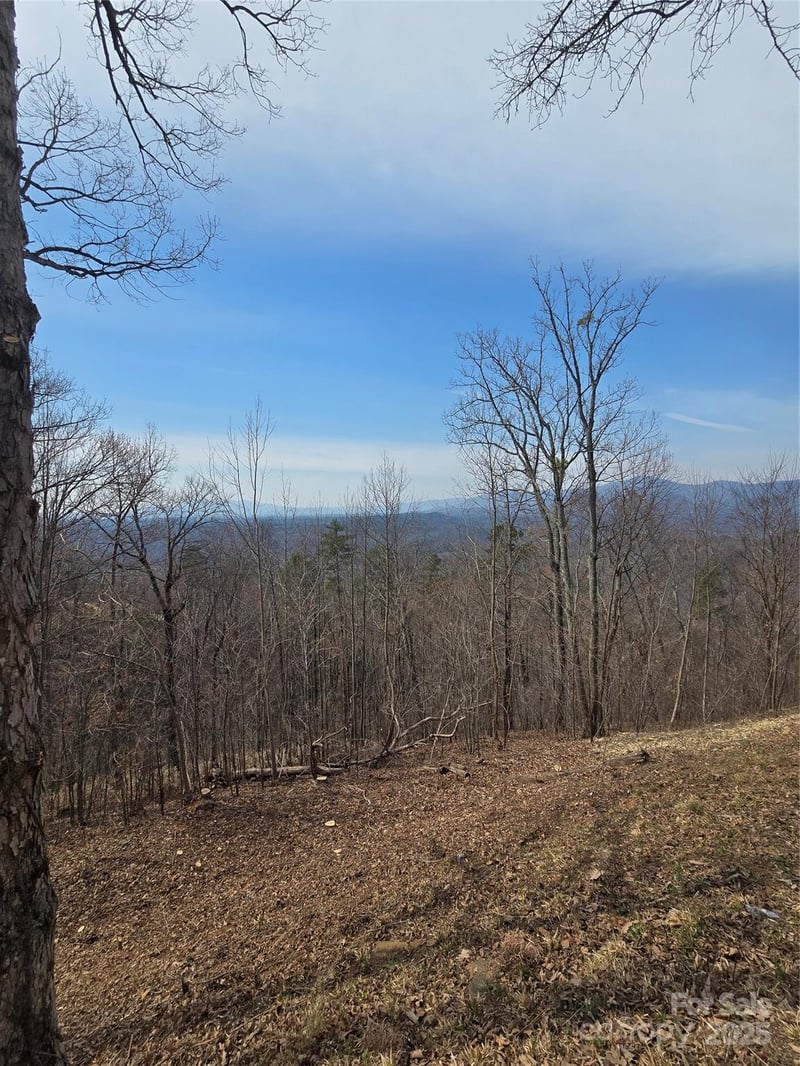 00 Golden Ridge Dr #209, Lake Lure, NC 28746