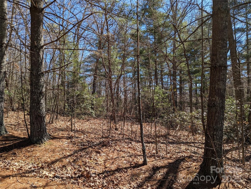 Lot 2 Chinquapin Hill, Black Mountain, NC 28711