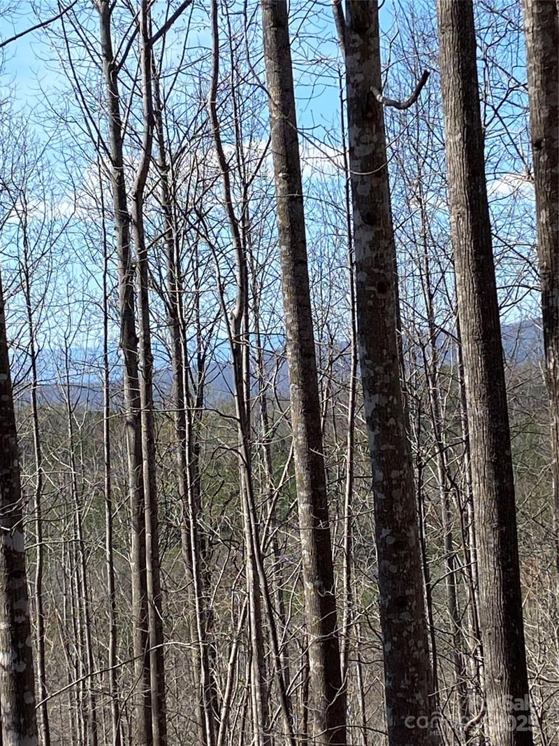 Lot 28 Mentink Way, Nebo, NC 28761