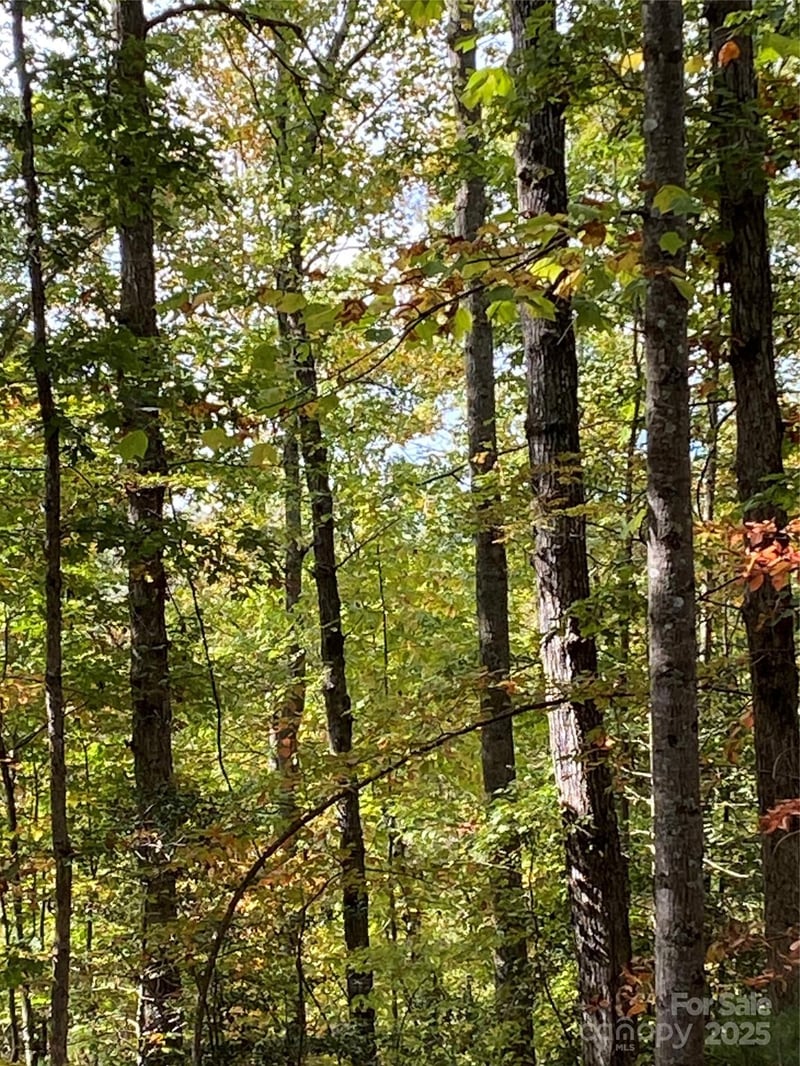 Lot 28 Mentink Way, Nebo, NC 28761