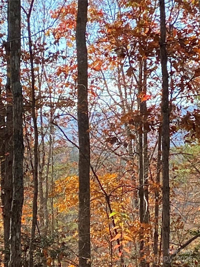 Lot 28 Mentink Way, Nebo, NC 28761