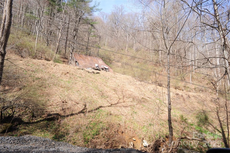 00 Coxes Creek Rd, Burnsville, NC 28714