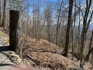 28 Angel Rd, Waynesville, NC 28785